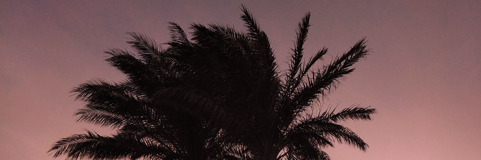 HammadMusic's profile banner image