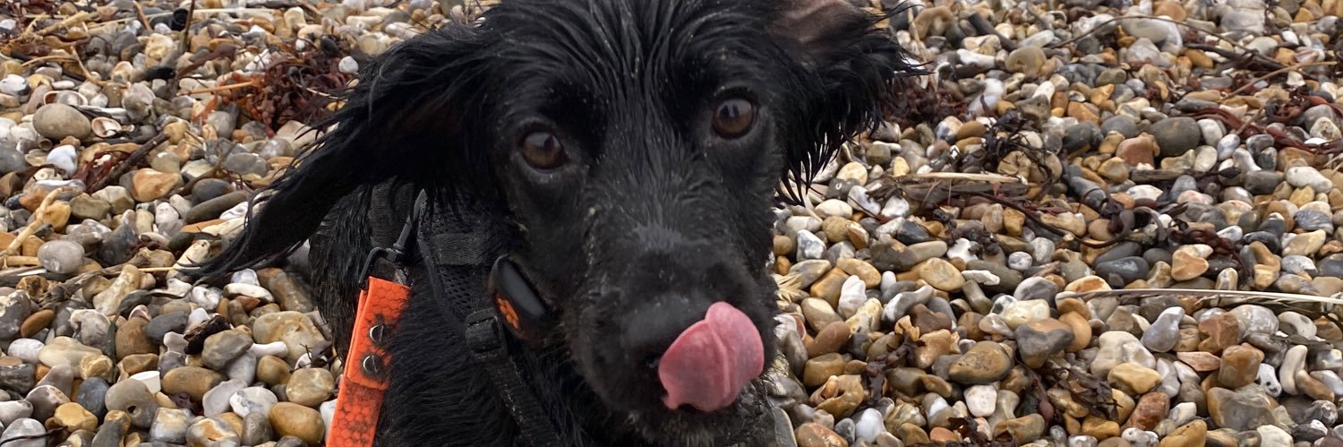 Steve Connelly🇬🇧🏴󠁧󠁢󠁥󠁮󠁧󠁿 banner