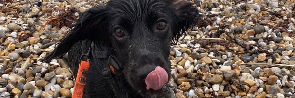 ElectricalSmc Profile Banner