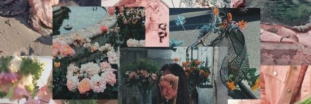 crlsndvl's profile banner image