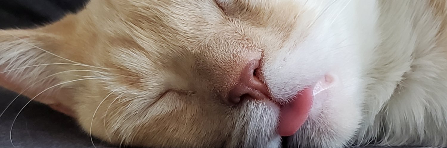 AlliiCatt1230's profile banner image