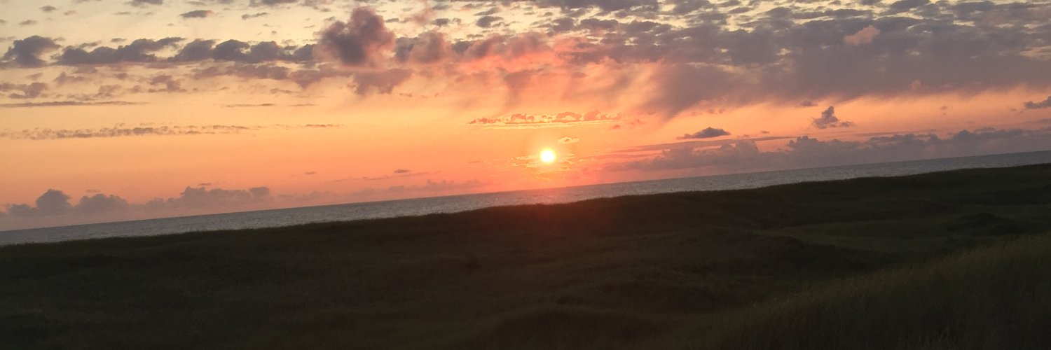 evanmmchenry's profile banner image