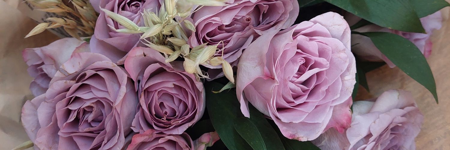 ebrucelig's profile banner image