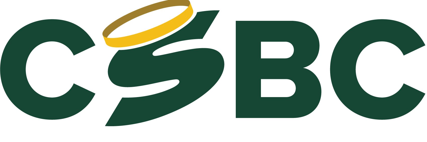 Catholic Schools banner