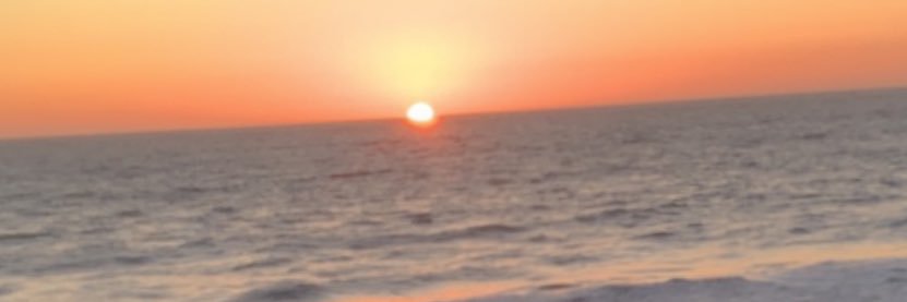rosely_vd's profile banner image