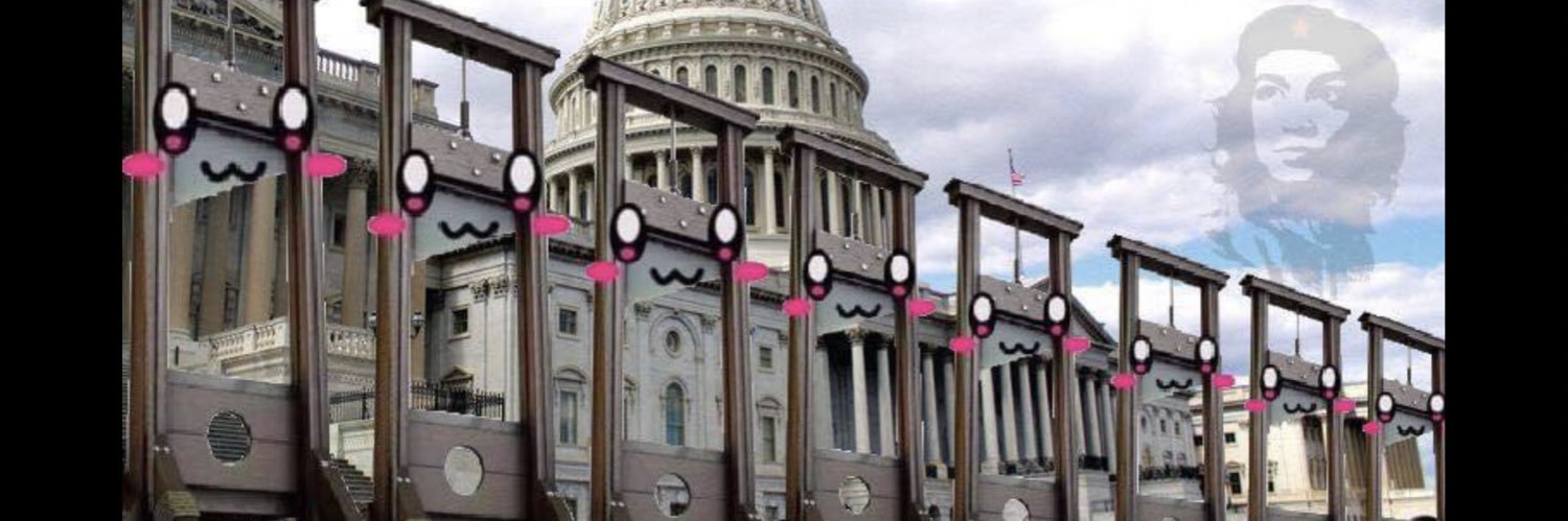 Correcting the Record with Guillotines ☭ banner