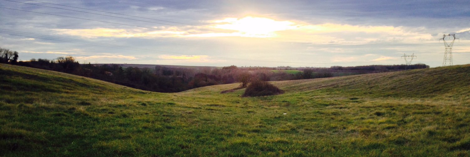 Cédric CONCHARD banner