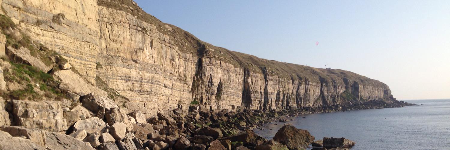 Mark Williams banner