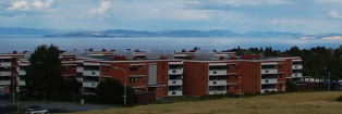 mona skaret banner