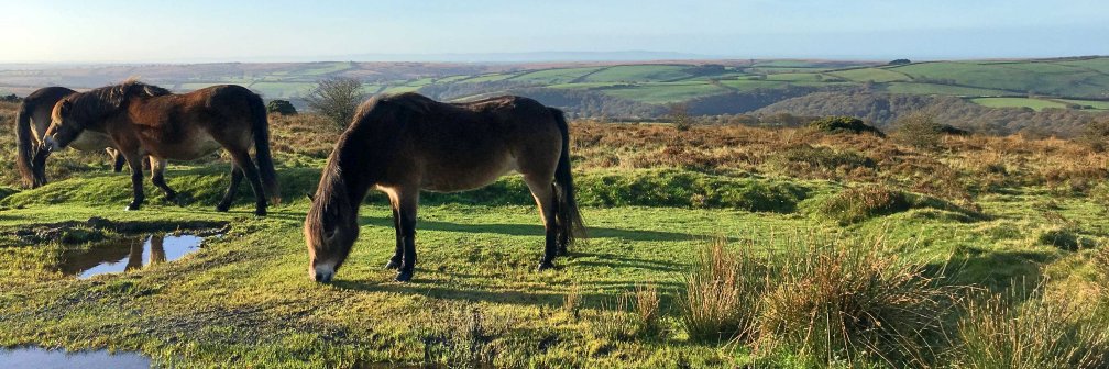 Visit Exmoor banner