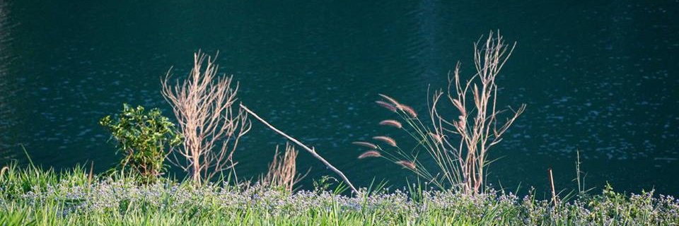 jackchadfield3's profile banner image