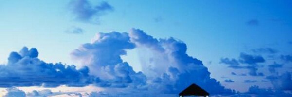 TDDx3 Profile Banner