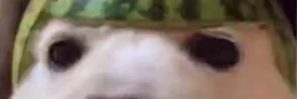 Nuraxis_NX's profile banner image