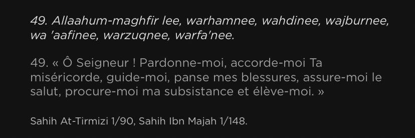 Nadjem. λ Lokmen banner