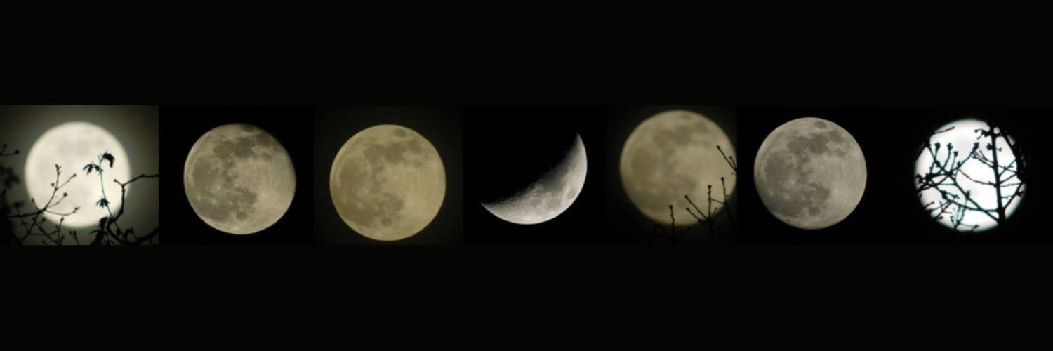 Mike Barzacchini banner