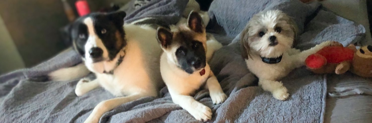 Sarah_ashley19's profile banner image