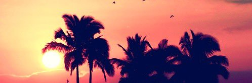 InFZ_'s profile banner image