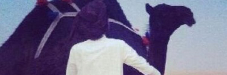 newpnet's profile banner image