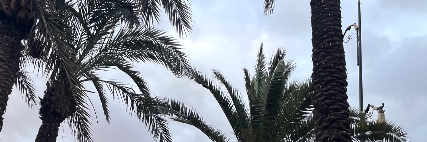 𝕄𝕖𝕘𝕒𝕟𝕍𝕖𝕘𝕒𝕟 banner