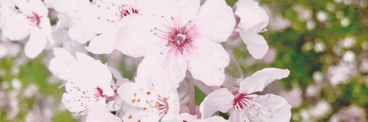 elenirose_'s profile banner image