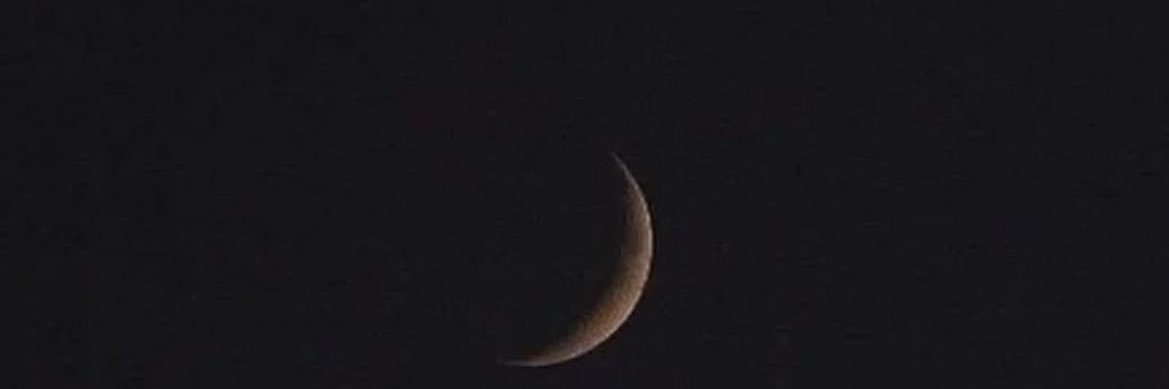 kelliromualdo's profile banner image