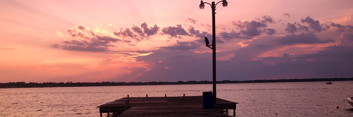 abbydolphins33's profile banner image