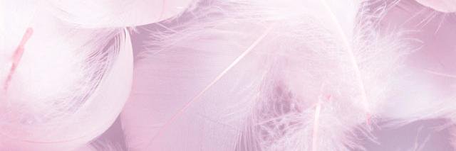juu0902's profile banner image