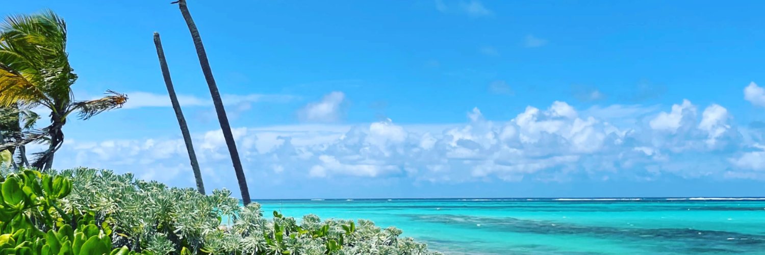 pariani's profile banner image