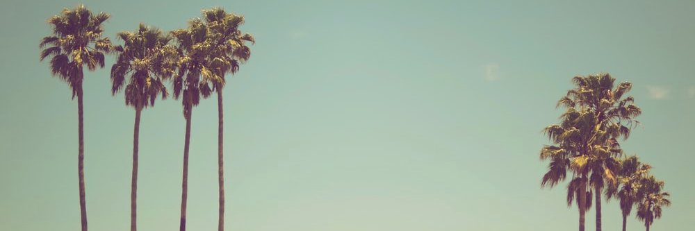 soloeez's profile banner image