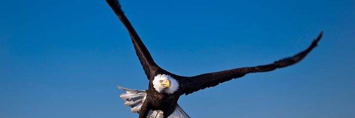 Juni4567's profile banner image