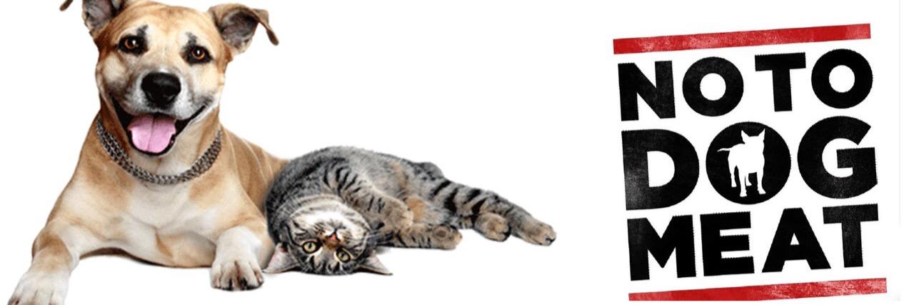 AGAINSTYULIN's profile banner image