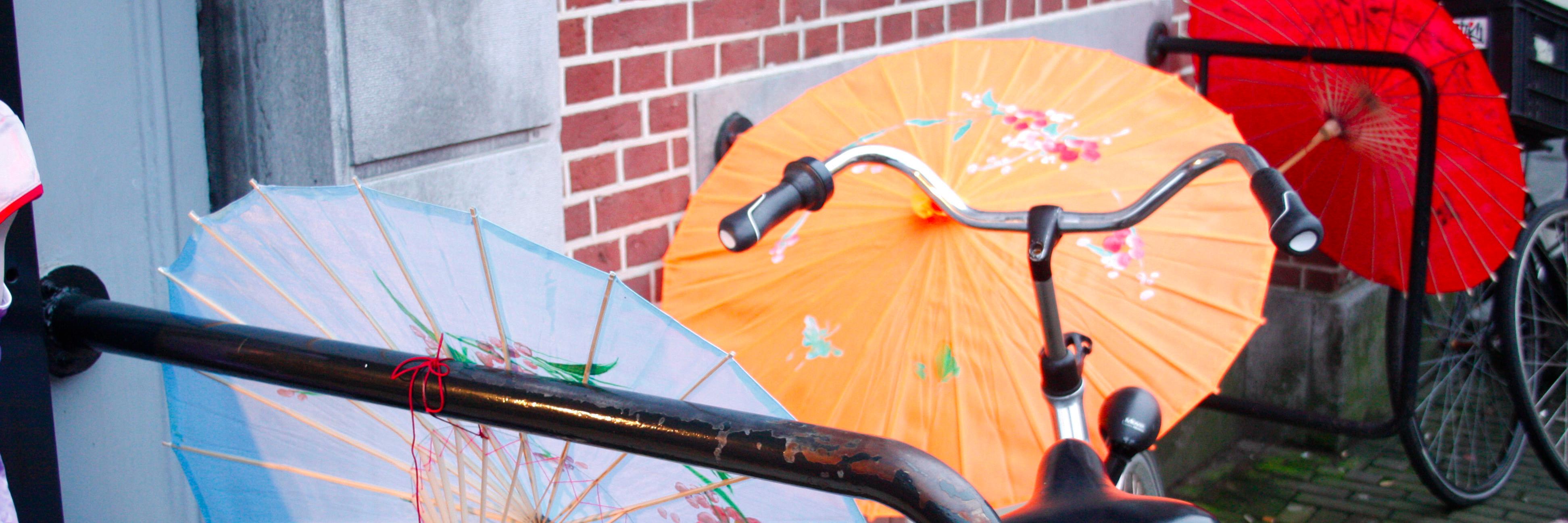 Bean_Abroad's profile banner image