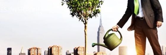 emsmadero's profile banner image