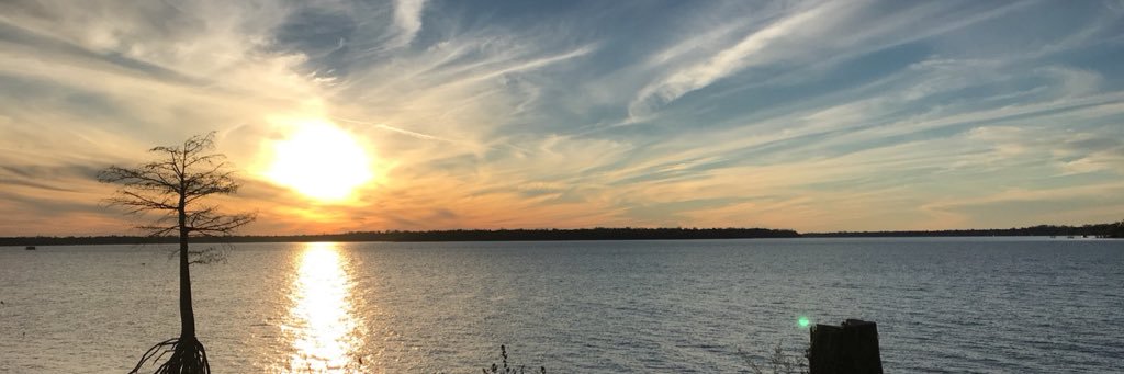 tomilynn14's profile banner image