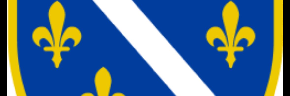Berković banner