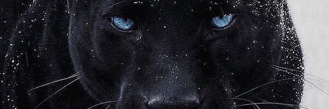 Thoms_Lsl's profile banner image