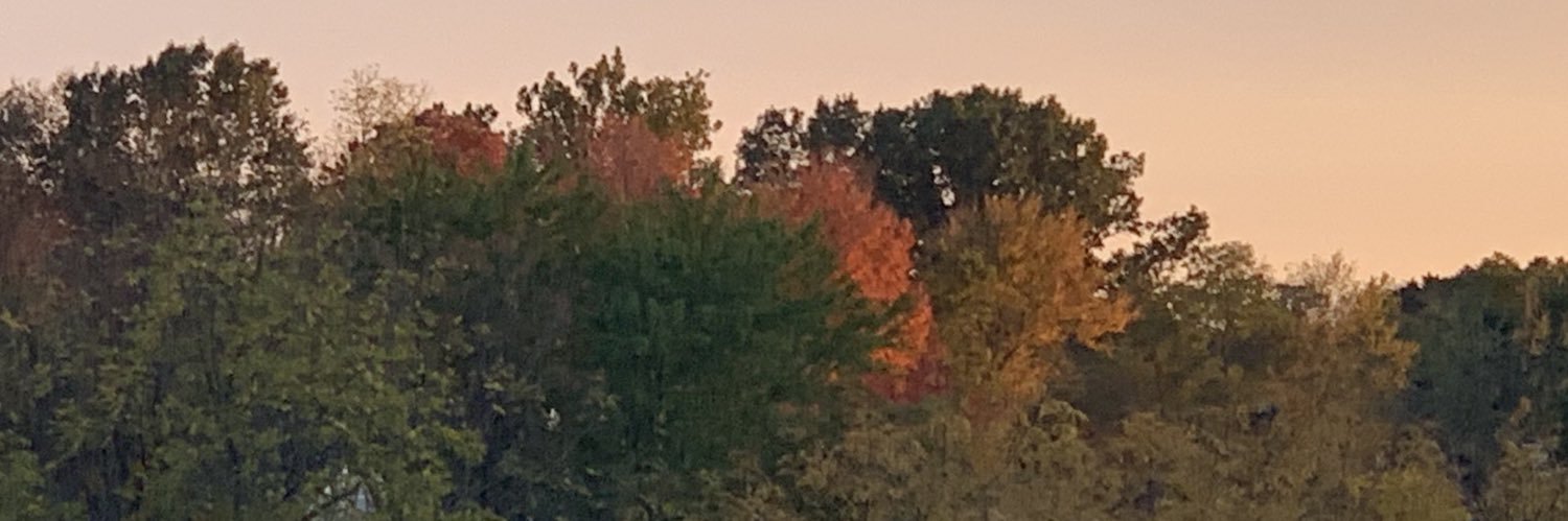 bob_moorhead's profile banner image
