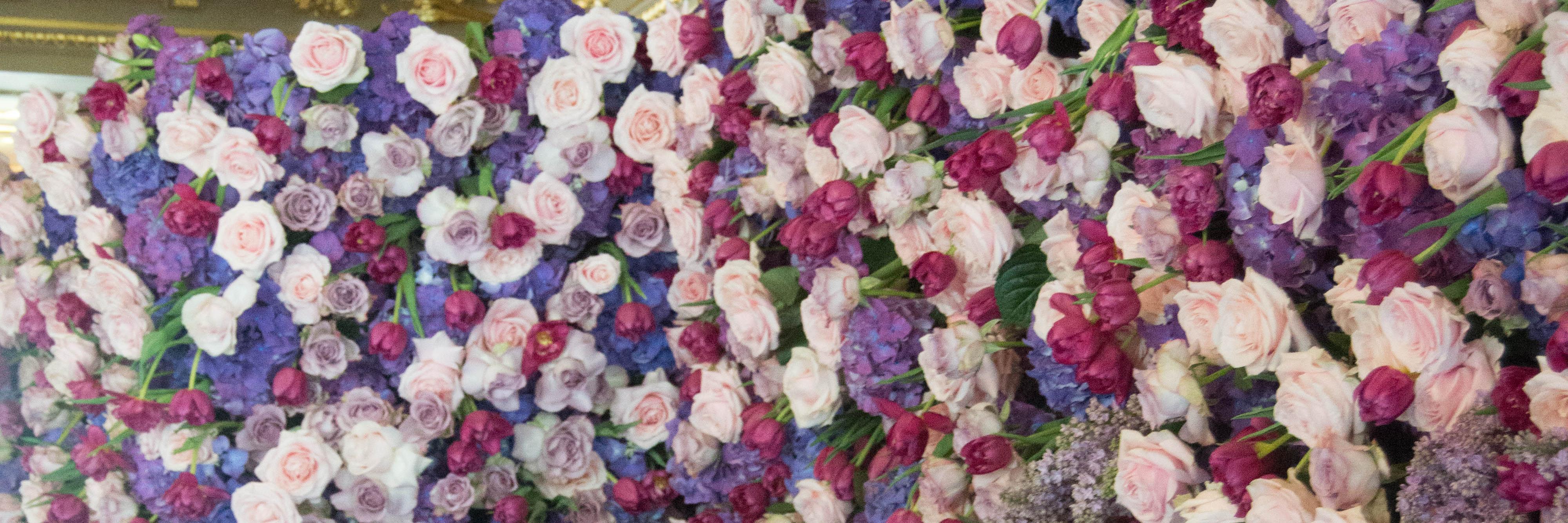 AnaiahGrace's profile banner image