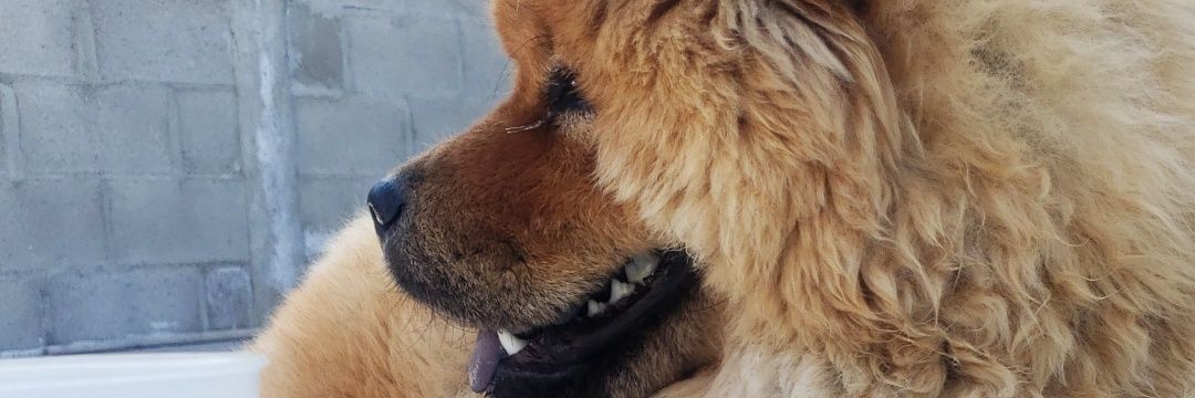fersaba12's profile banner image