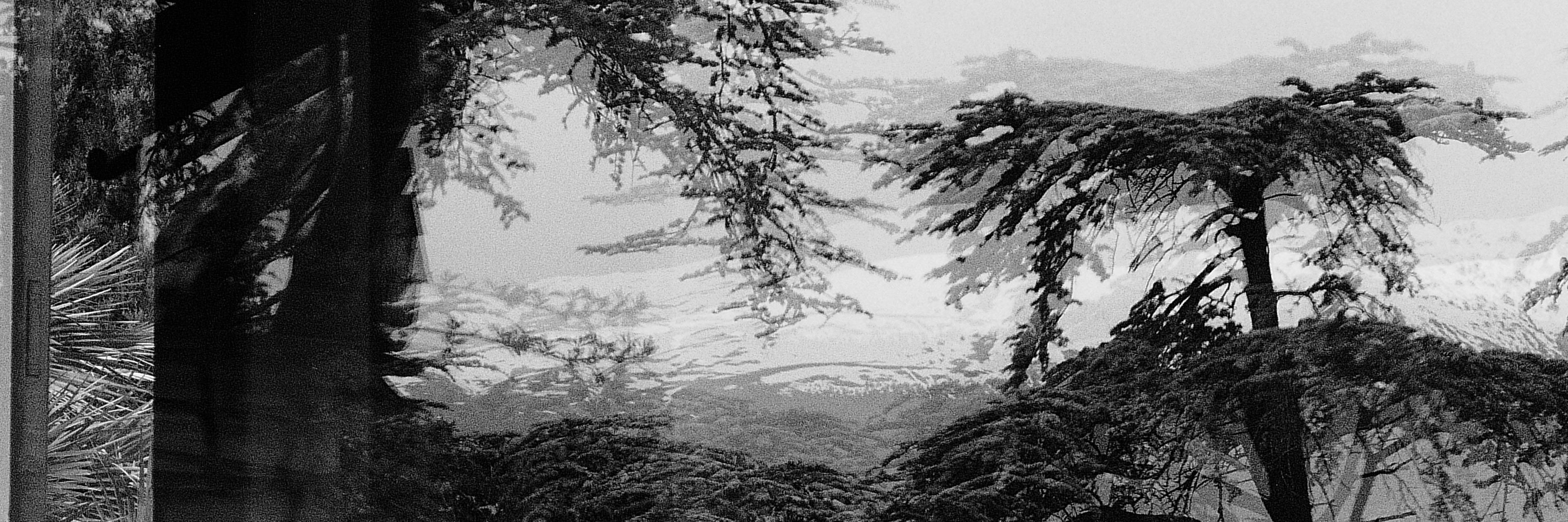 noxjf's profile banner image