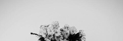 UnbearablePower's profile banner image