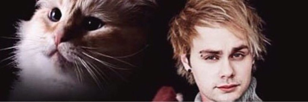 Mike Clifford FREE banner