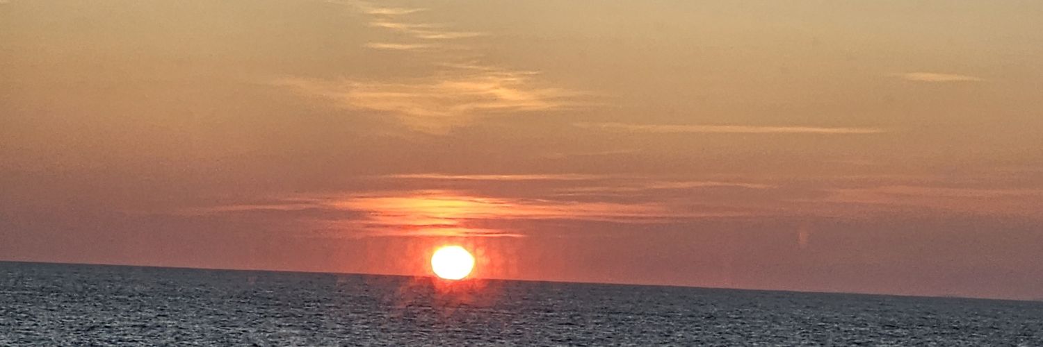 Maria McArdle banner