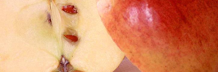 健康ダイエット banner