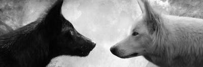 Scho_Alexandra's profile banner image