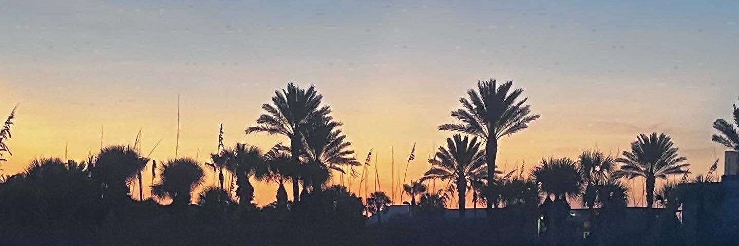 DTnTaz's profile banner image