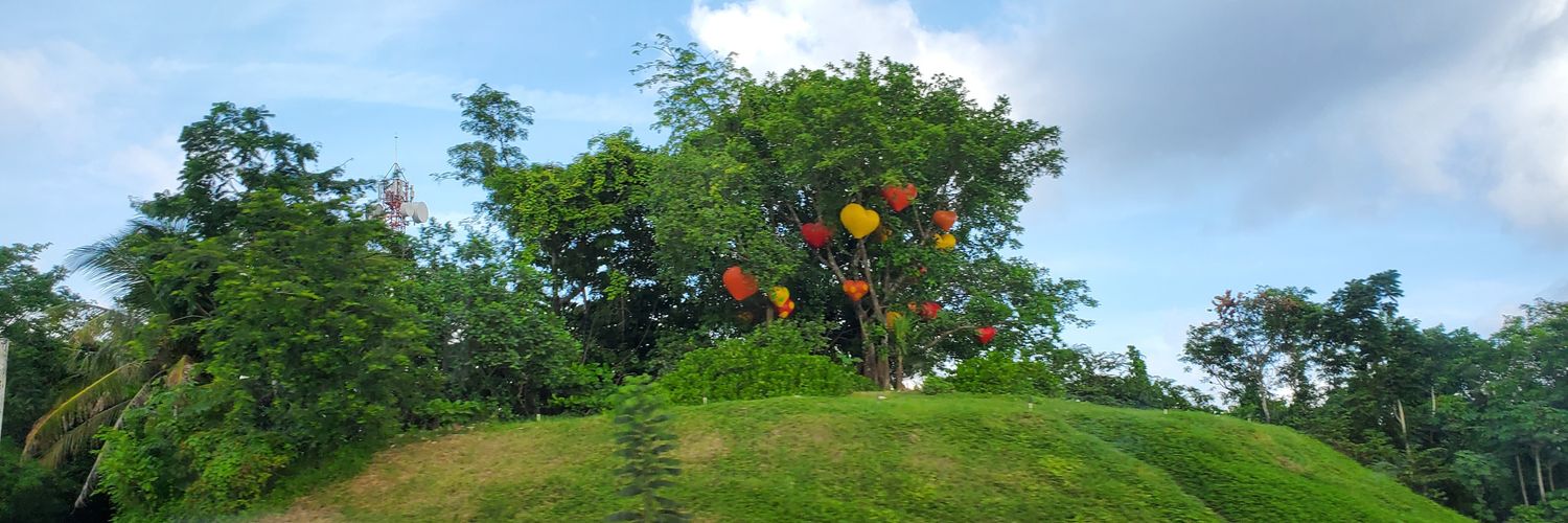 marcellacontmi's profile banner image