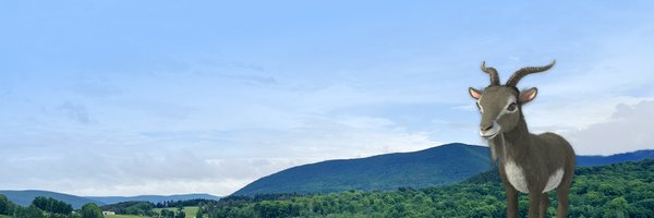 MountainOneBank Profile Banner