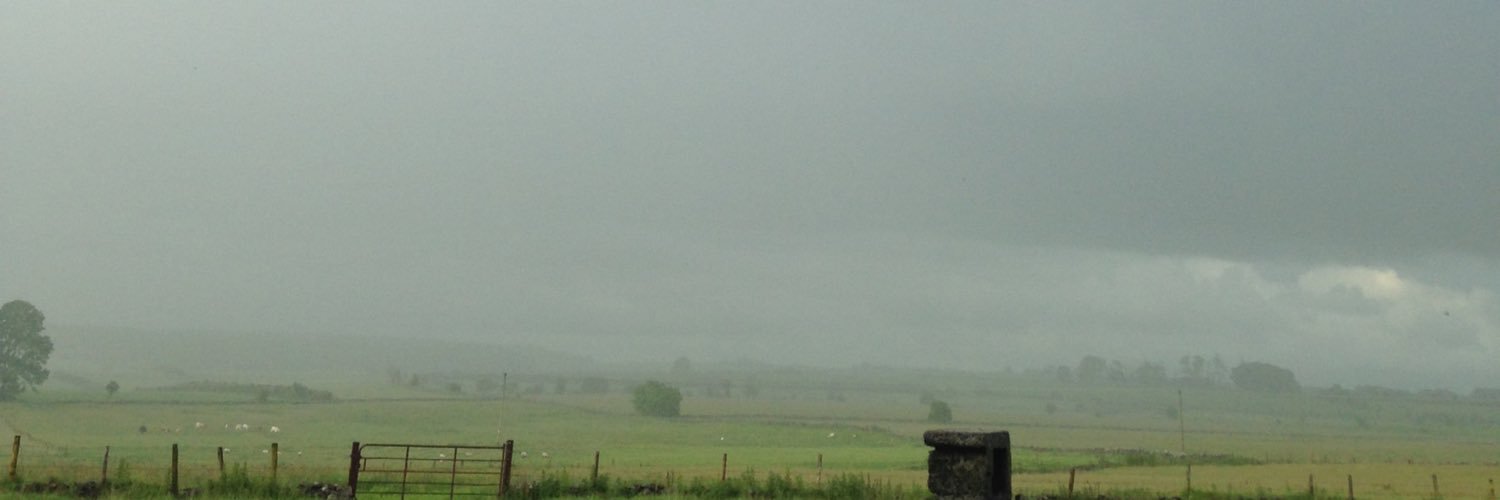 Ger Mullarkey banner