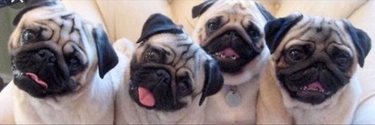 hello_candicex's profile banner image